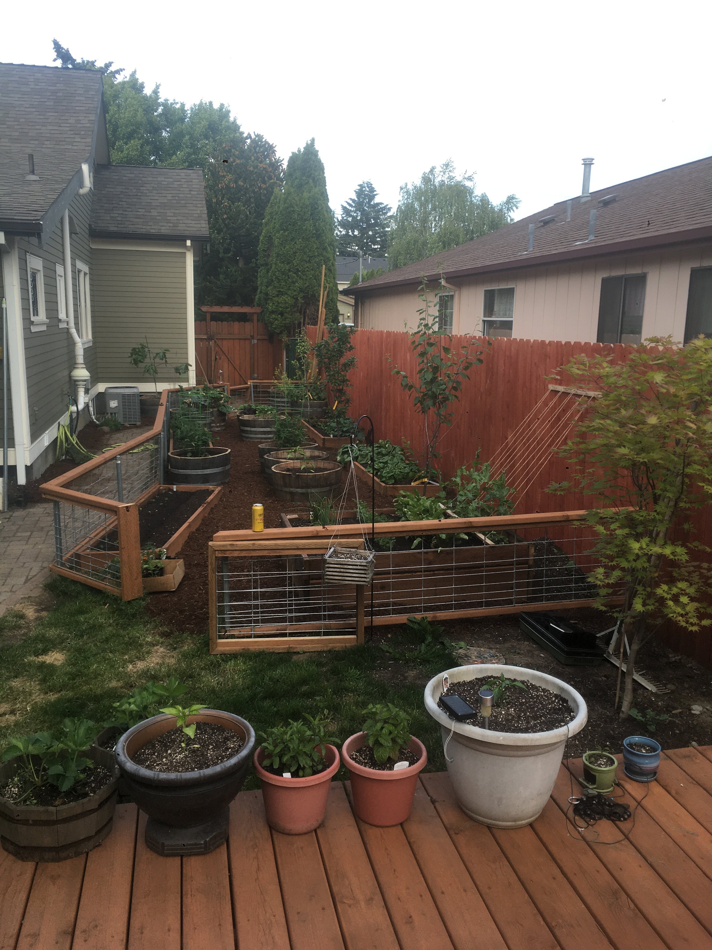 Backyard Garden Installation