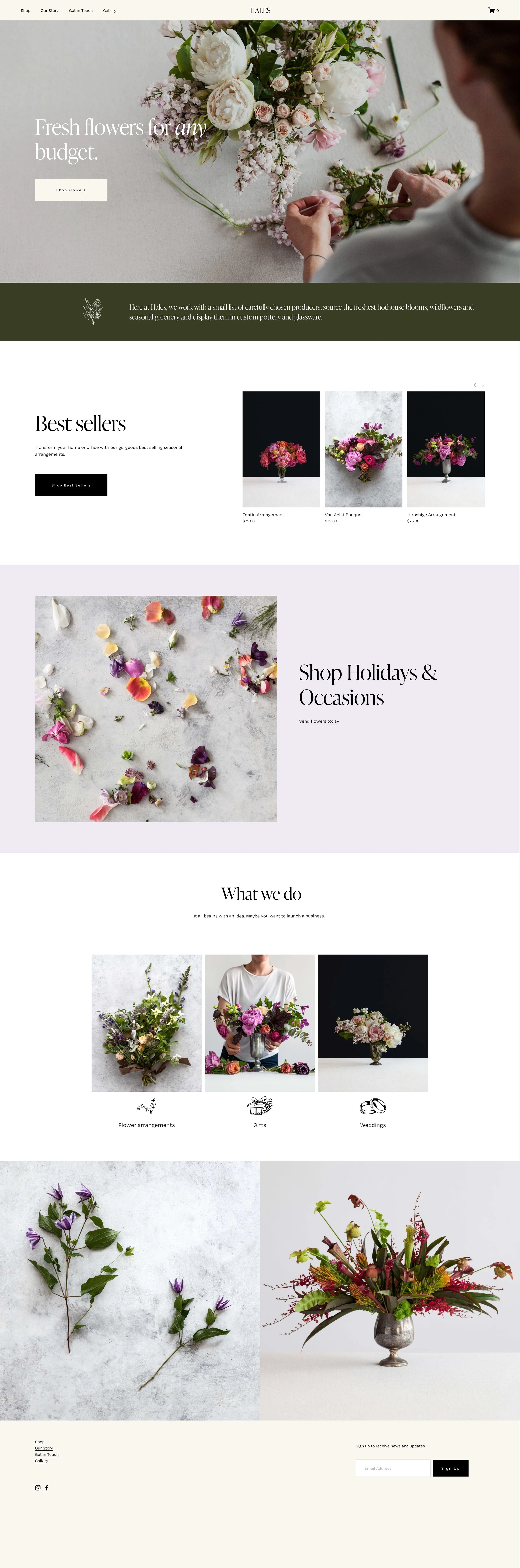 eCommerce - HALES.jpeg