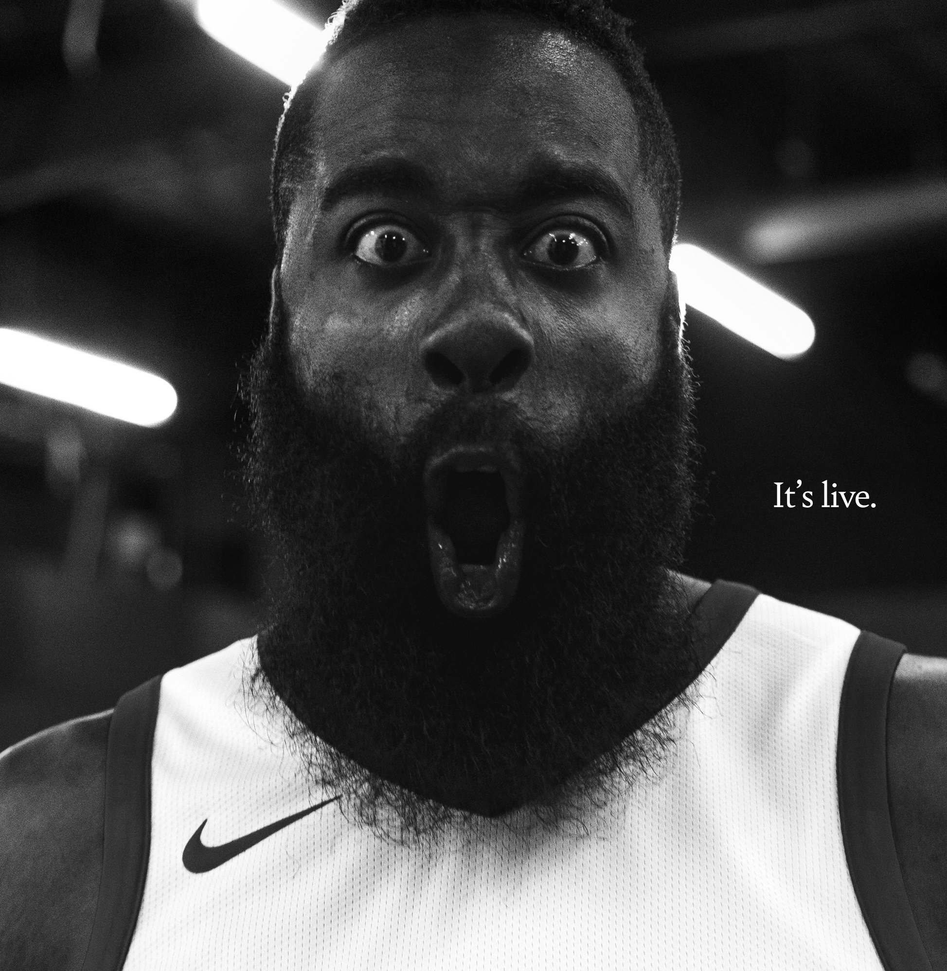 harden.jpg