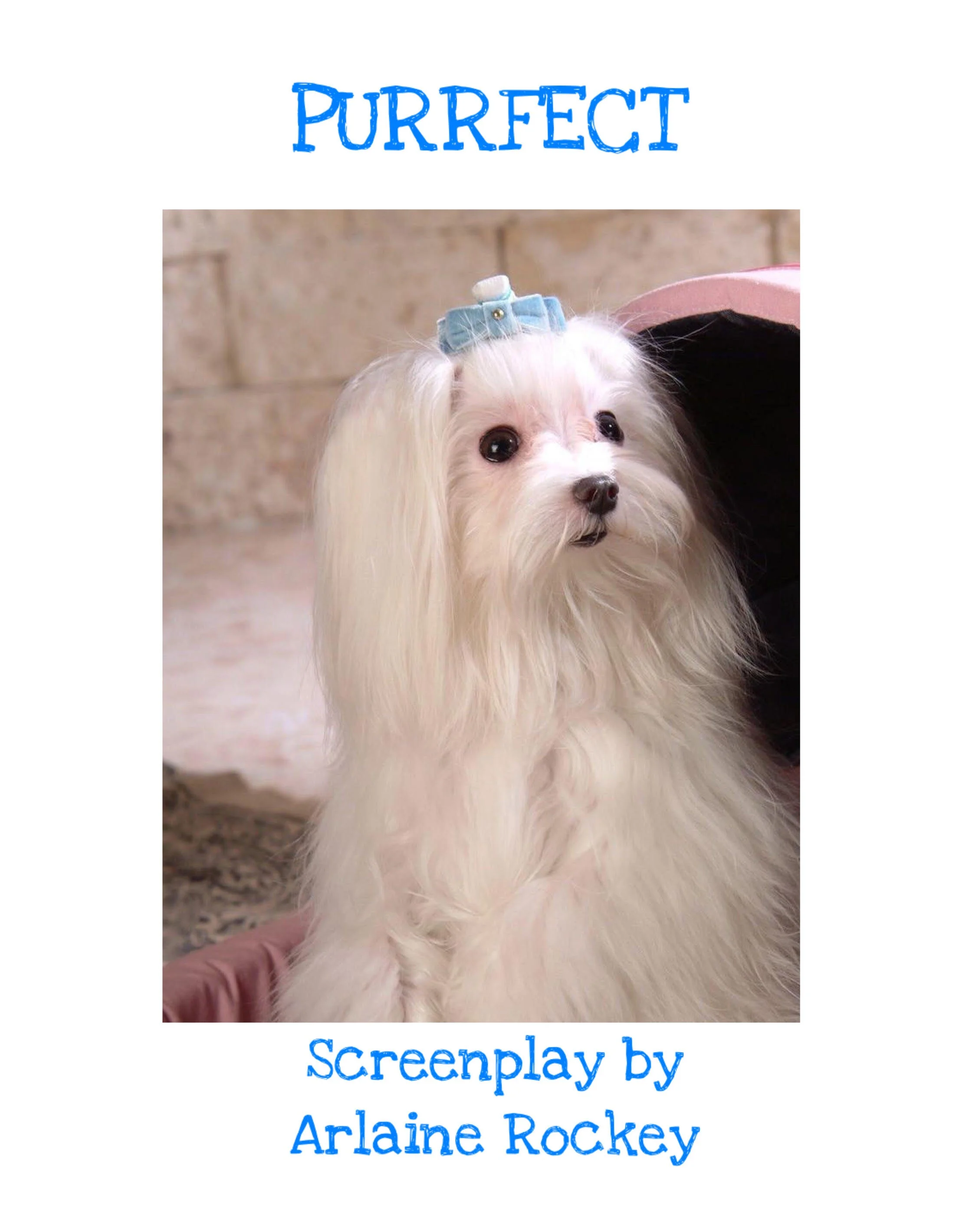 PURRFECT POSTER 1.jpg