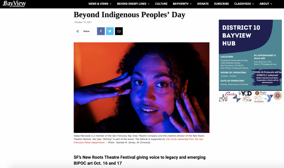 SF Bayview Article