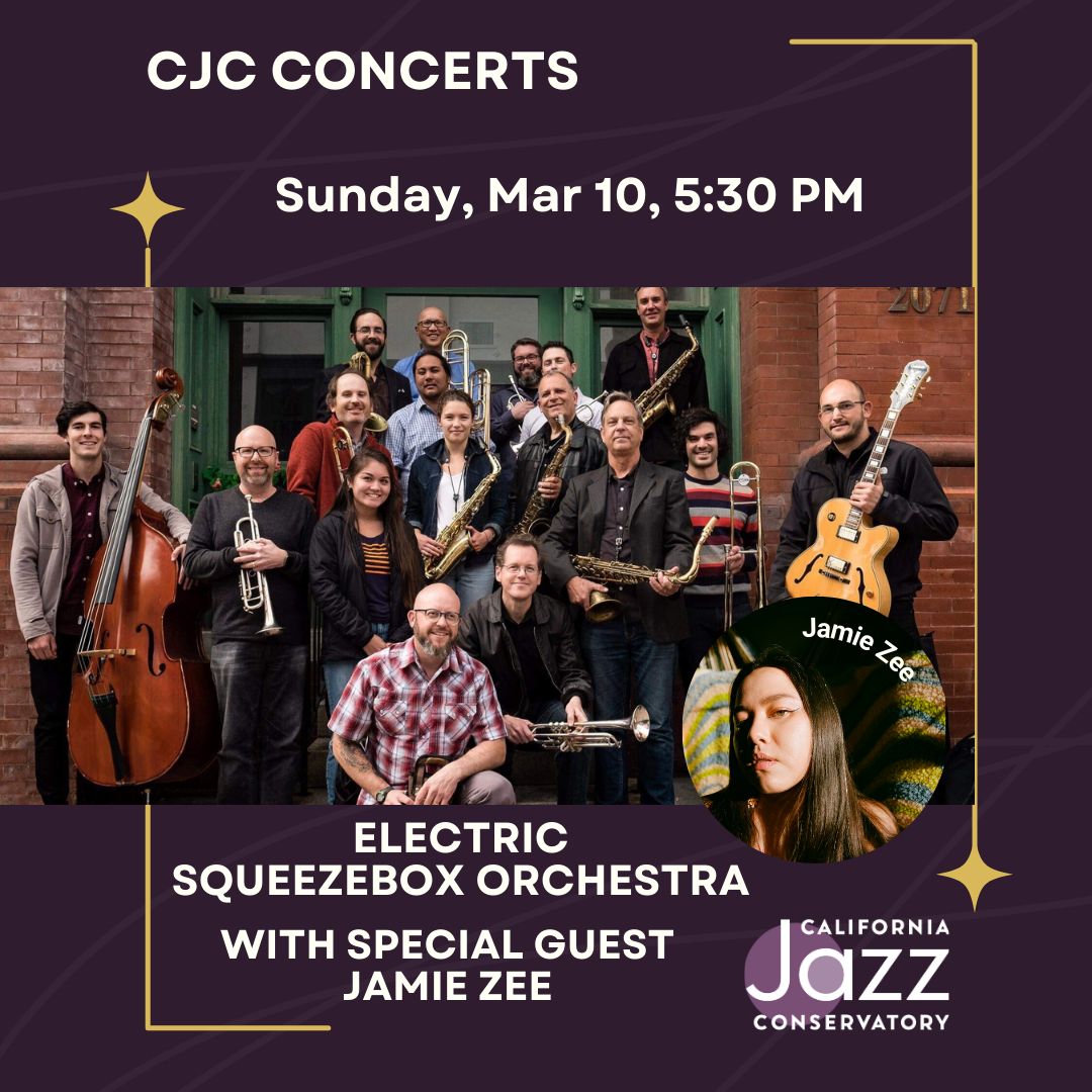 Electric Squeezebox Orchestra ft Jamie Zee (Concert)