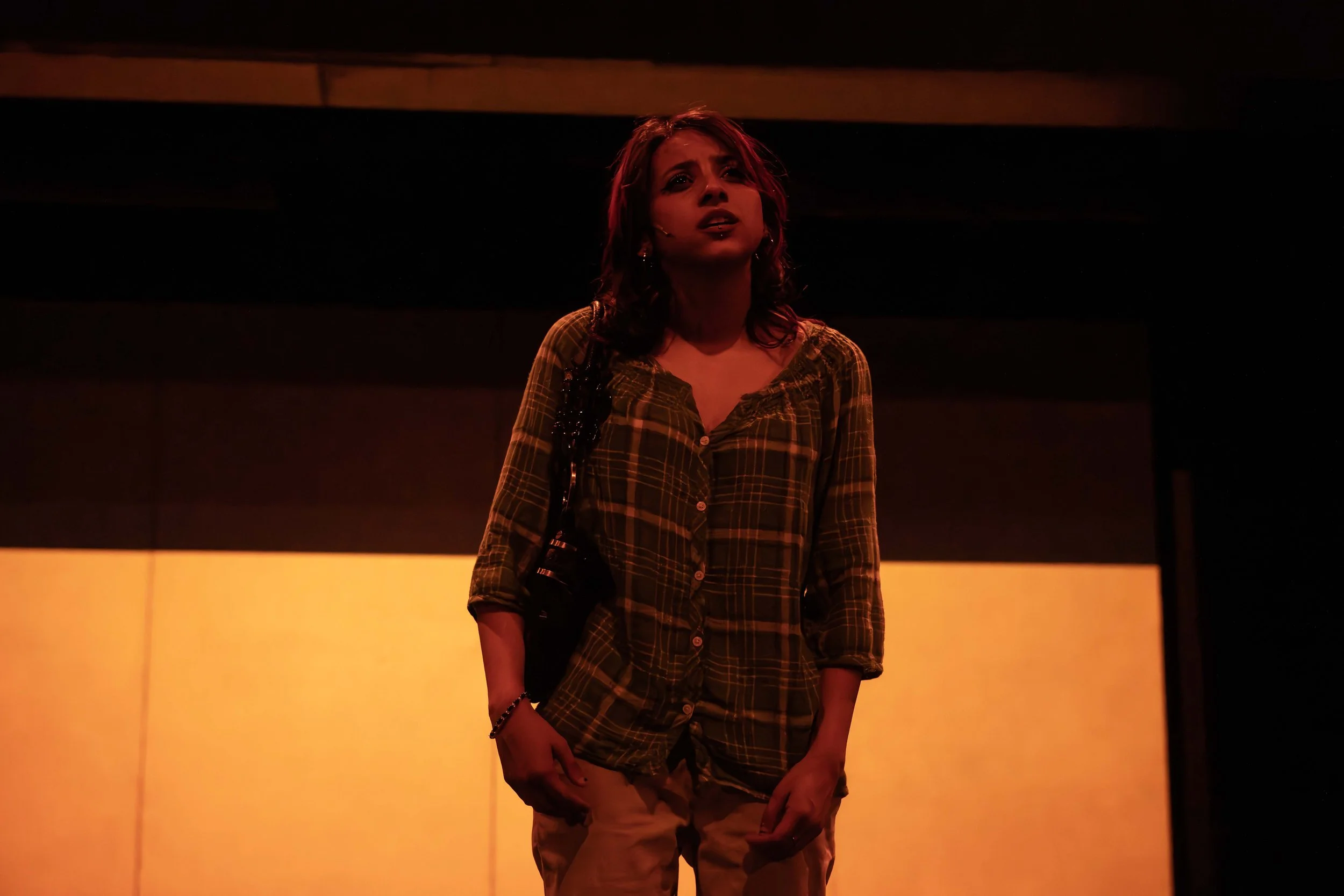 The Day the Sky Turned Orange_Opening Night_14.jpg