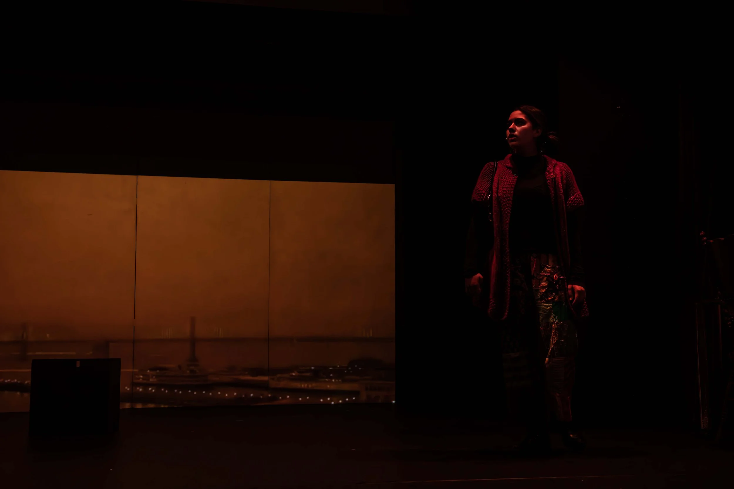 The Day the Sky Turned Orange_Performance 2_16.jpg