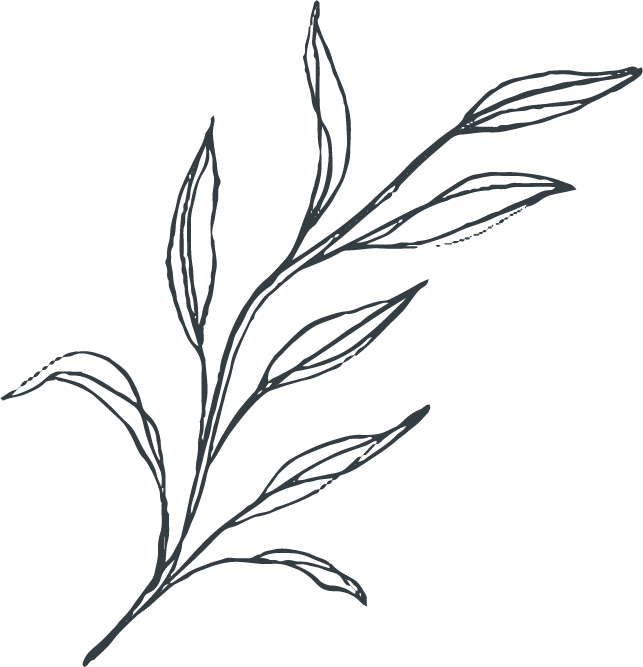 Floral Stems - Botanical Vector Illustrations - Sarah Ann Design - Asset 11.png