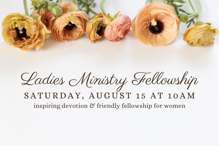 Ladies Ministry Fellowship