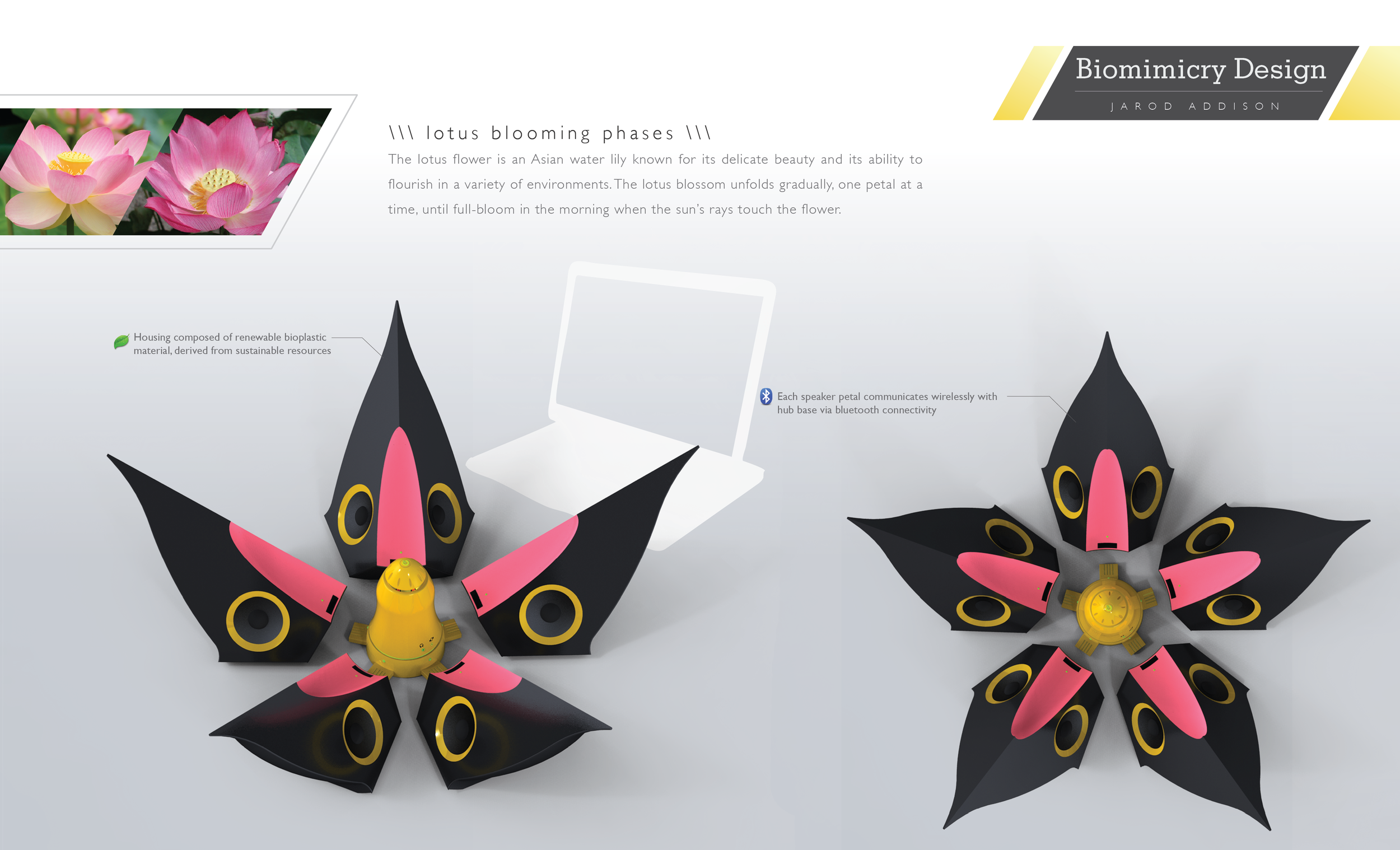 xDRAFTx_lotus layout-04.png