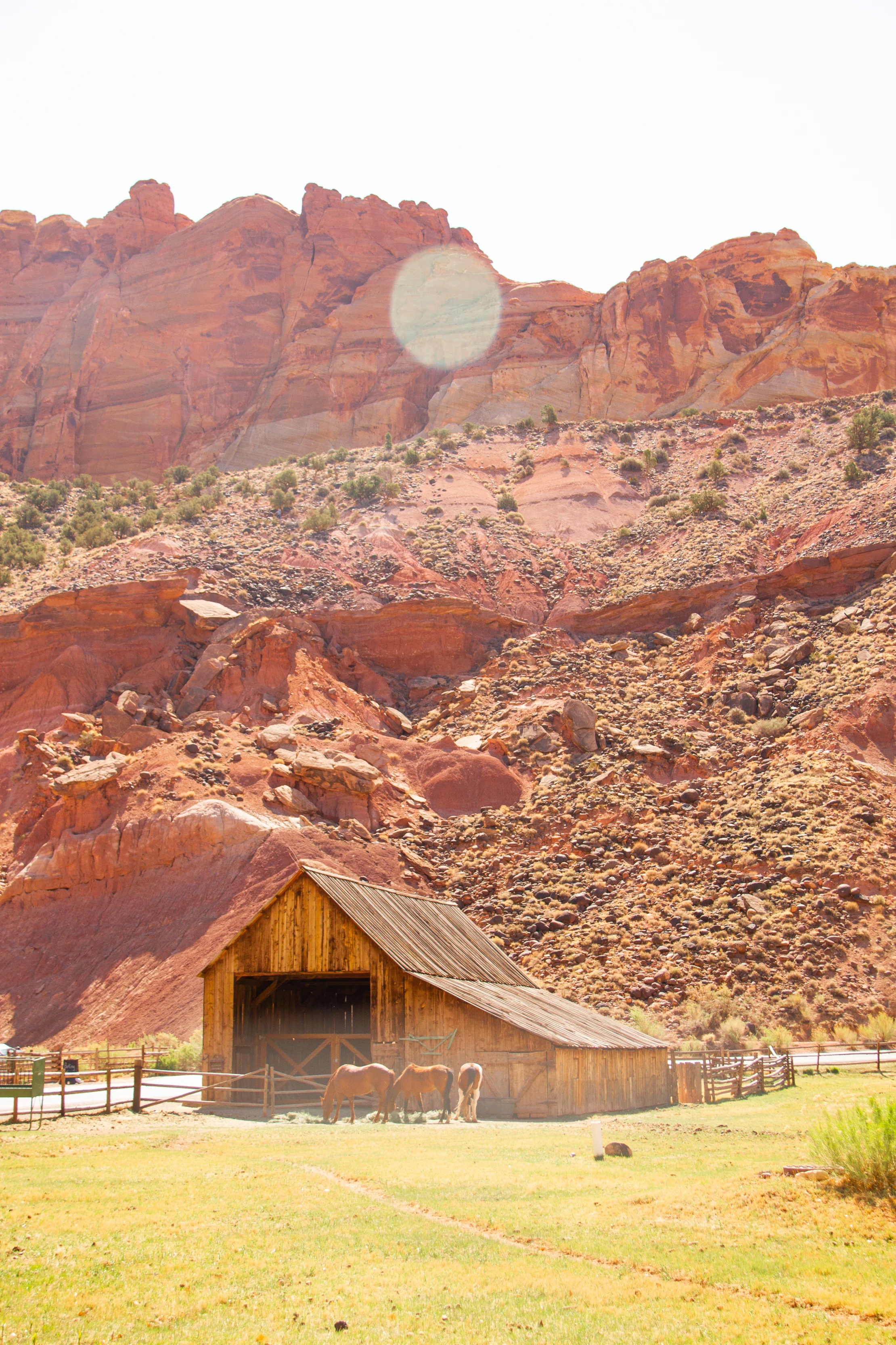 The Wonders of Capitol Reef — The Journal of Lost Time