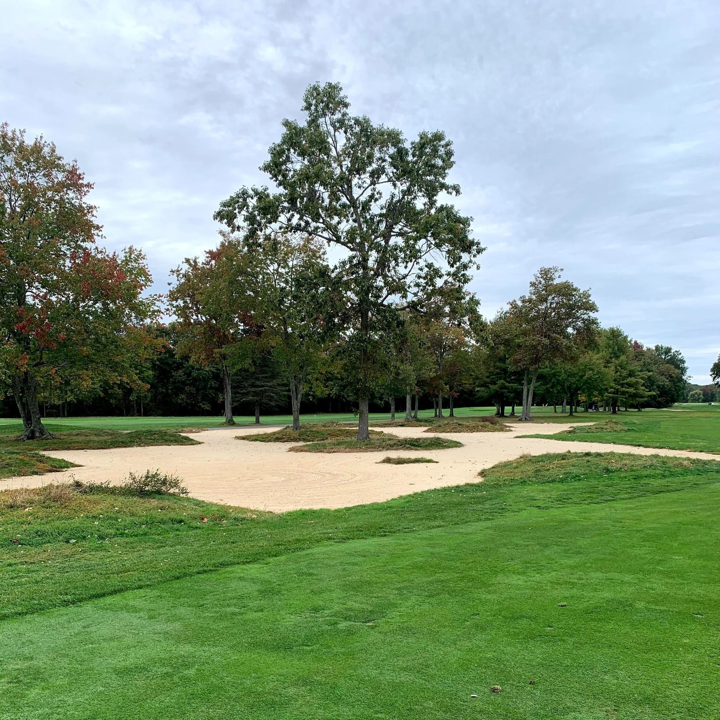 Bunkering between the 8th and 9th hole at Brookmeadow