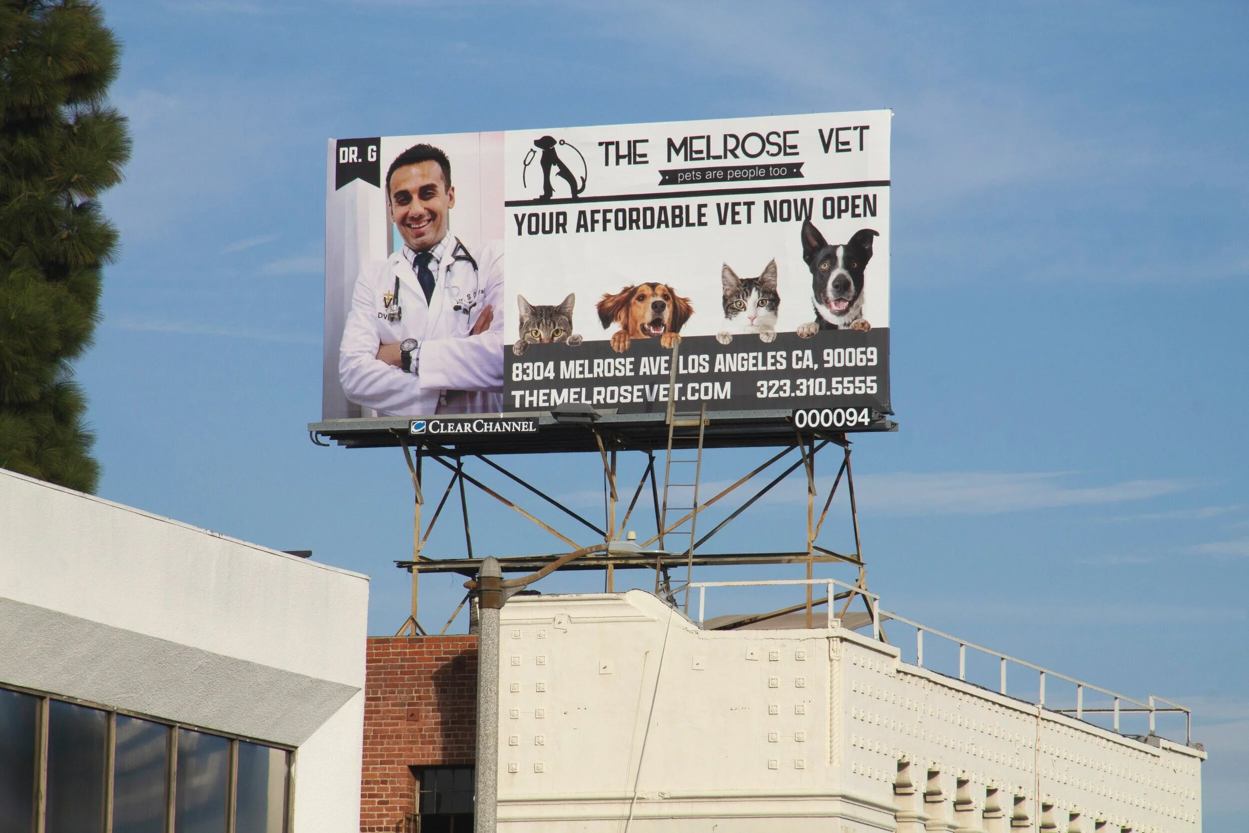 002_TheMelroseVet.jpg