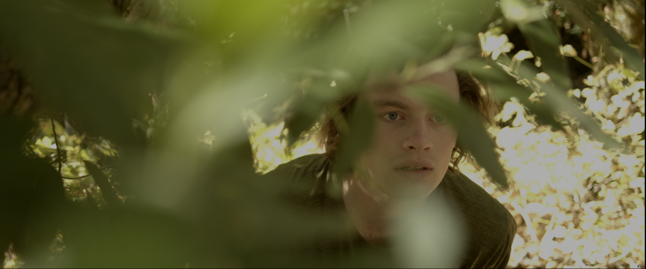 Wilderness Quest -  Interview with Kelly Needleman