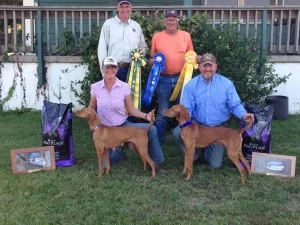 2014 vca National Championship Kimber winner Bullet Runner up