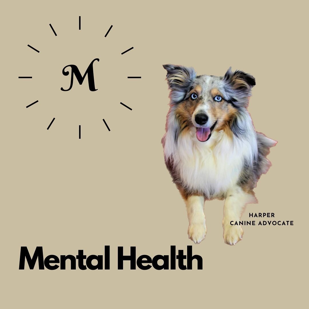 Hey friends! 🐾  It&rsquo;s me @harper_lcac, the @limestone_cac  canine advocate. 🐶❤️ May is #mentalhealthawareness month. 💚 I&rsquo;m back at the LCAC to learn all about the Trauma-focused cognitive behavioral therapy and how it is used to help th