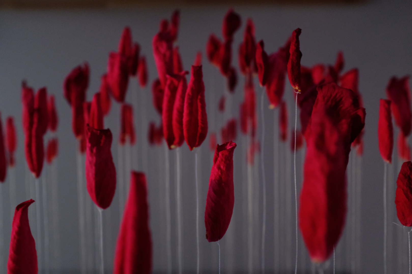 Beauty’s Time by Jade Armstrong, an immersive sculptural installation exploring how aesthetic experiences can slow attention and shape emotional response through neuroaesthetic principles.