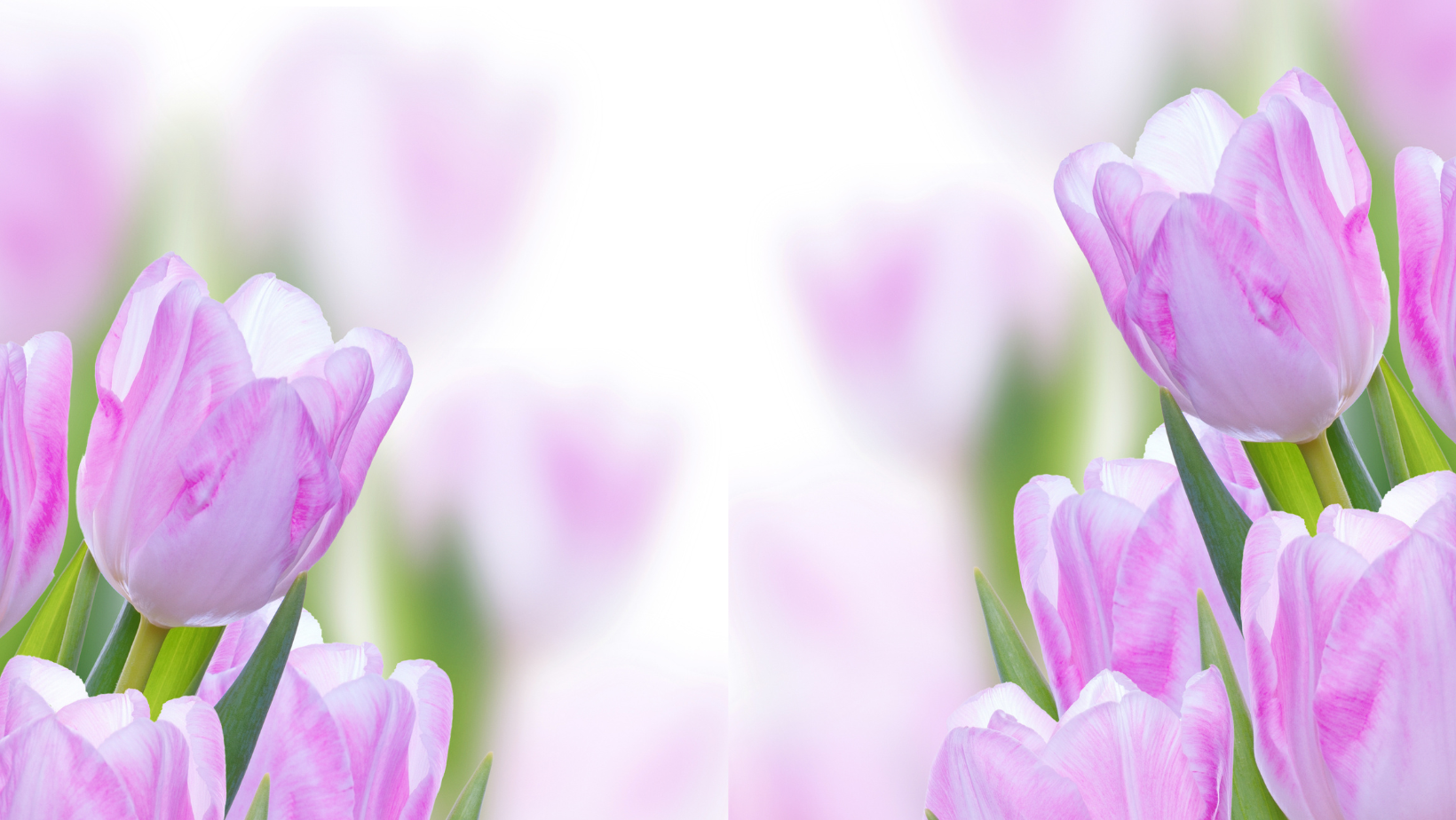 Copy of www.reallygreatsite.com (1640 x 924 px) (1).png