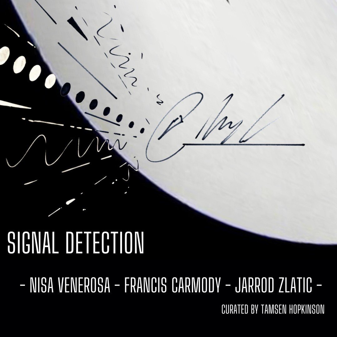  Signal Detection  Nisa Venerosa, Francis Carmody, Jarrod Zlatic  curator, Tamsen Hopkinson  4 - 25 May    