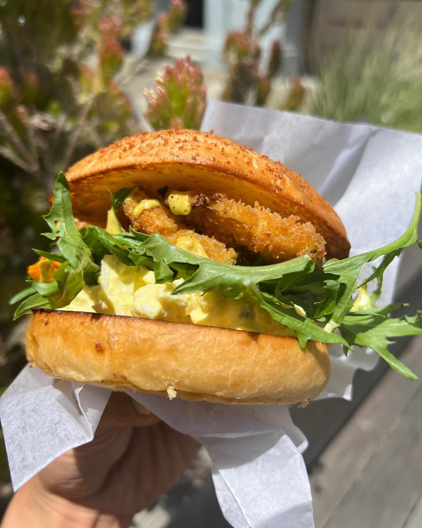 (psst, Summer squash egg salad bunwiches are back!) 

We&rsquo;ll see you all this weekend! 💚🍞

Flora Grubb Gardens 10am-2pm
Clement St. Cafe 9am-2pm
✌️✌️