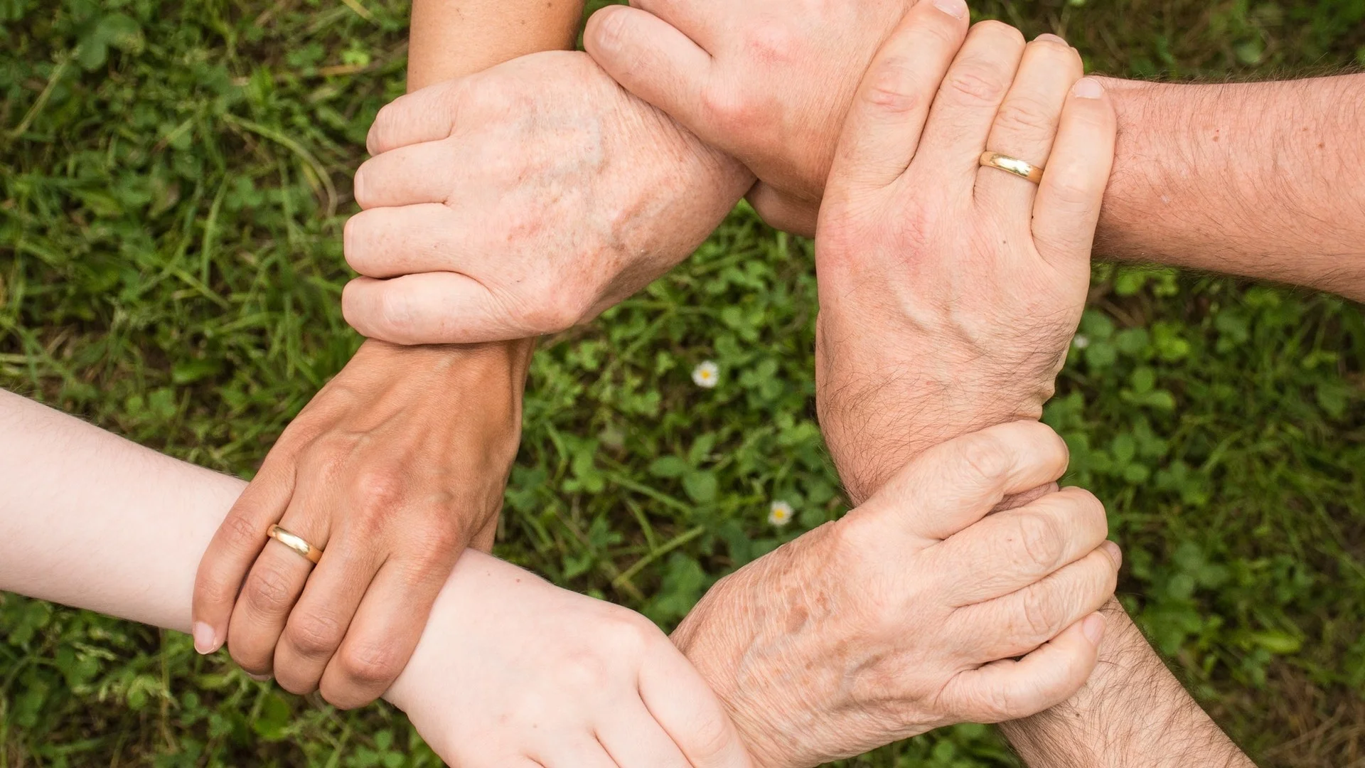 collaboration-community-cooperation-461049.jpg