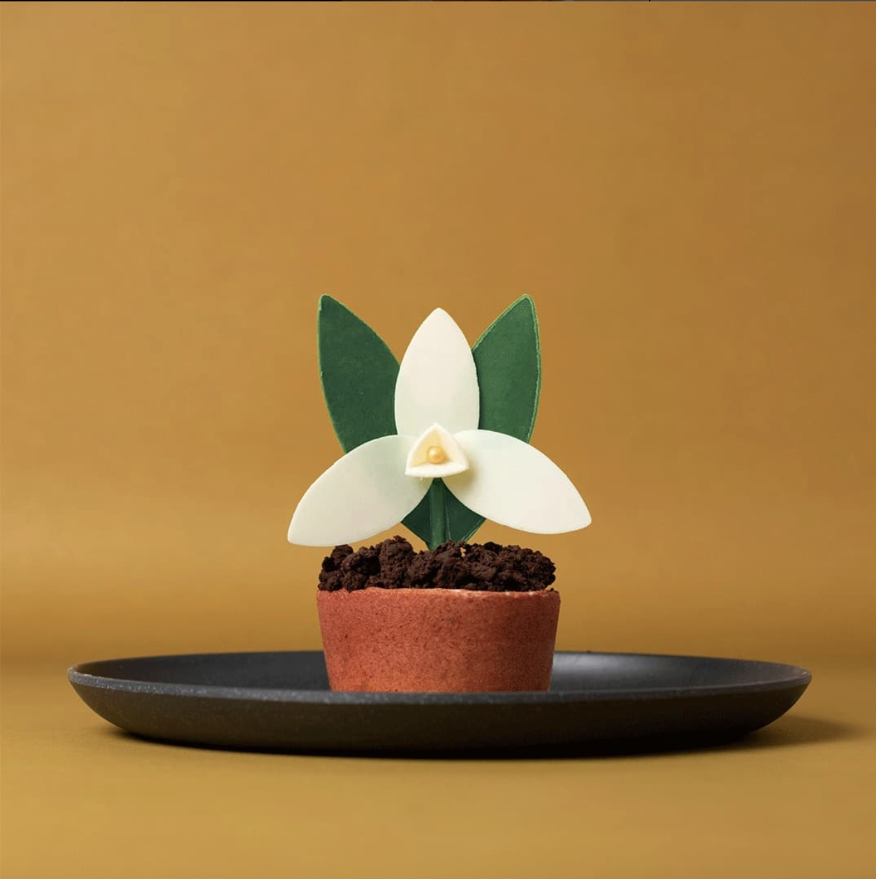 Captura de pantalla 2025-11-11 a la(s) 8.36.52 p. m..png