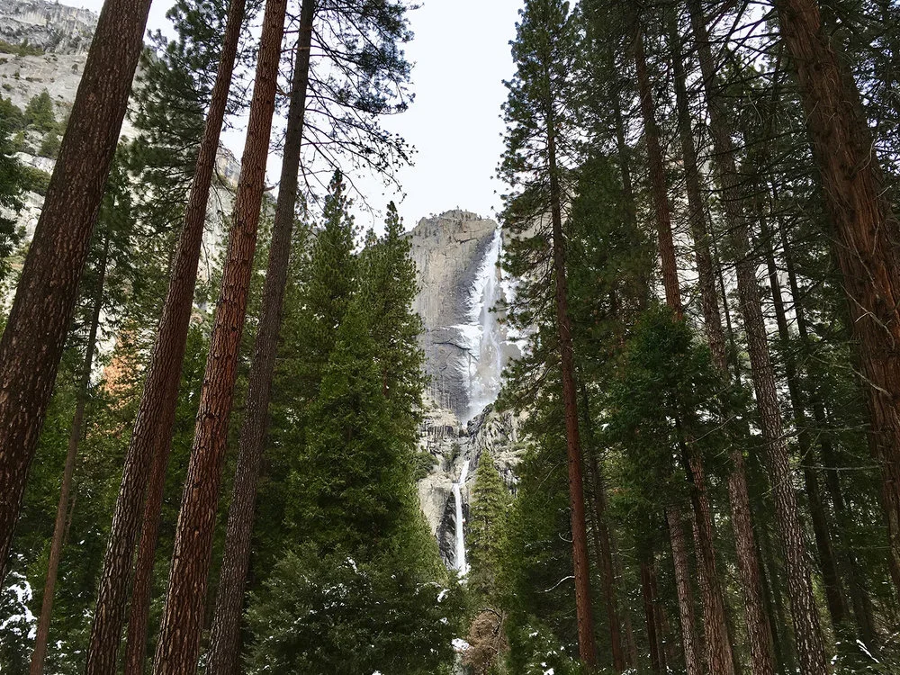 IPHONE10.webp