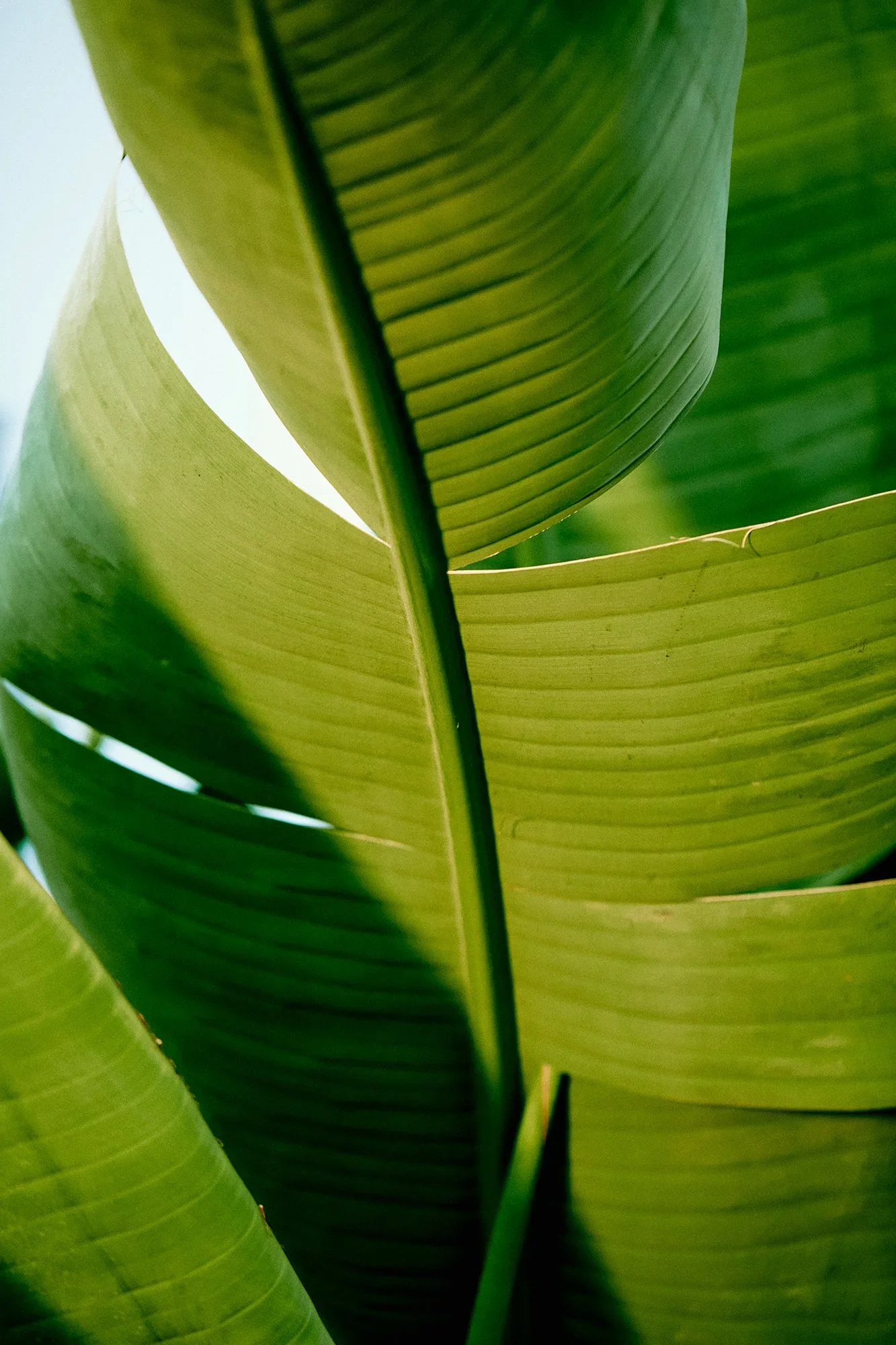 SUSTAINABILITY_STILL+LIVES_231.webp