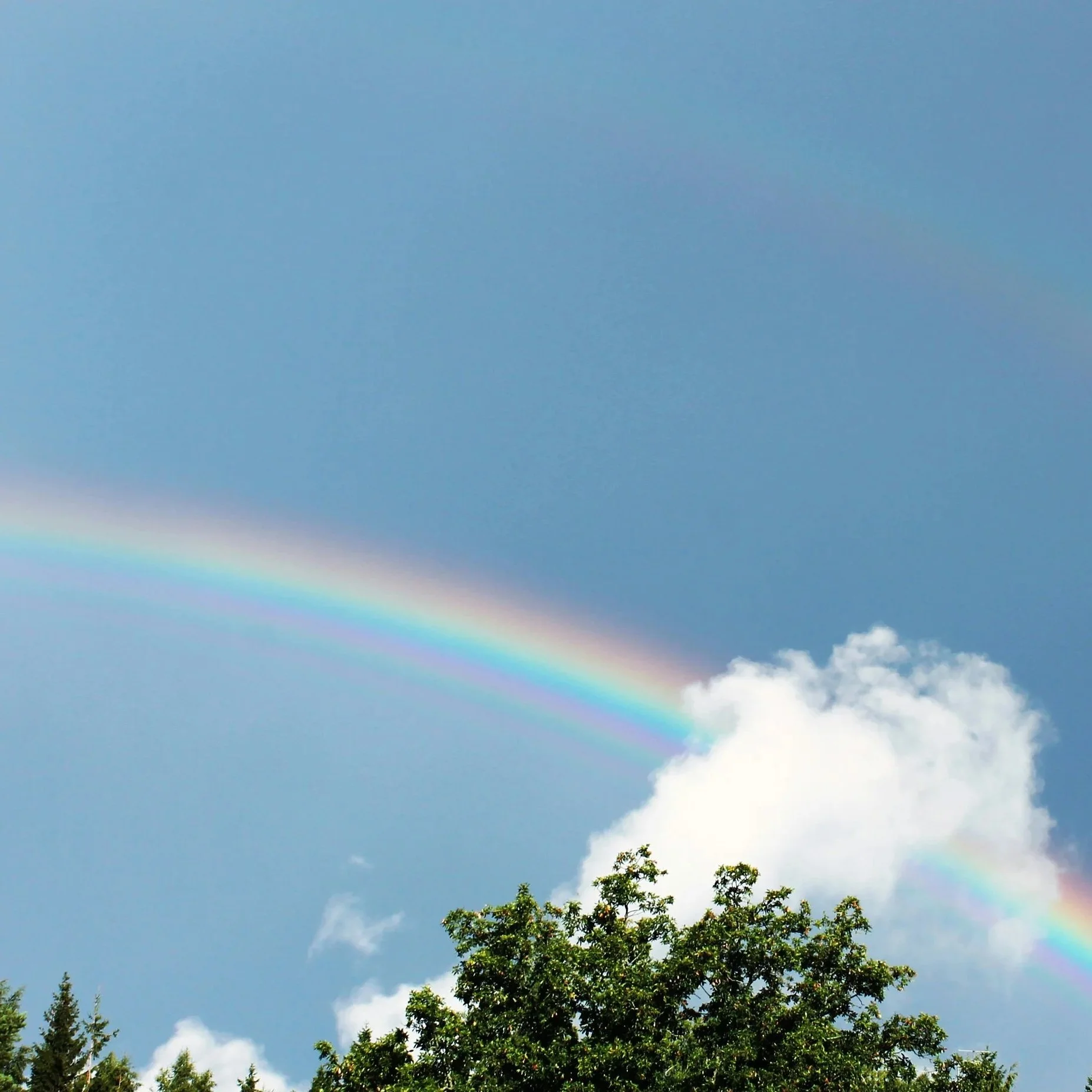 Funerals &amp; Obituaries