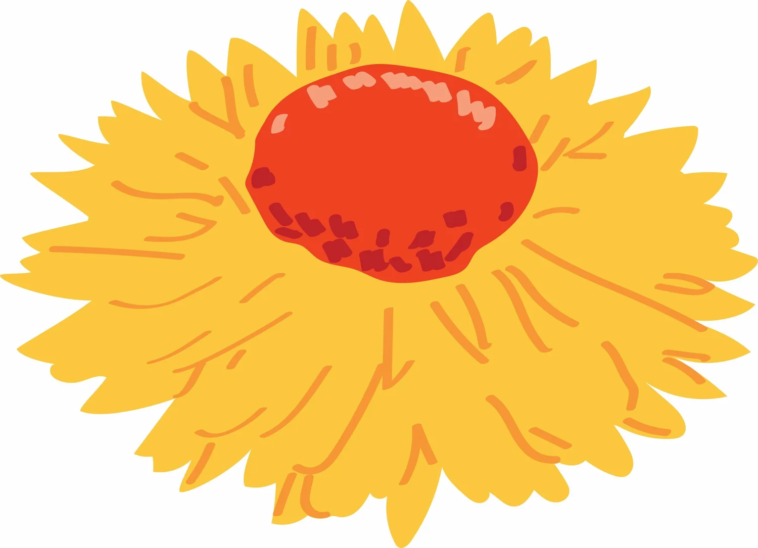 Paper Daisy Ceremonies