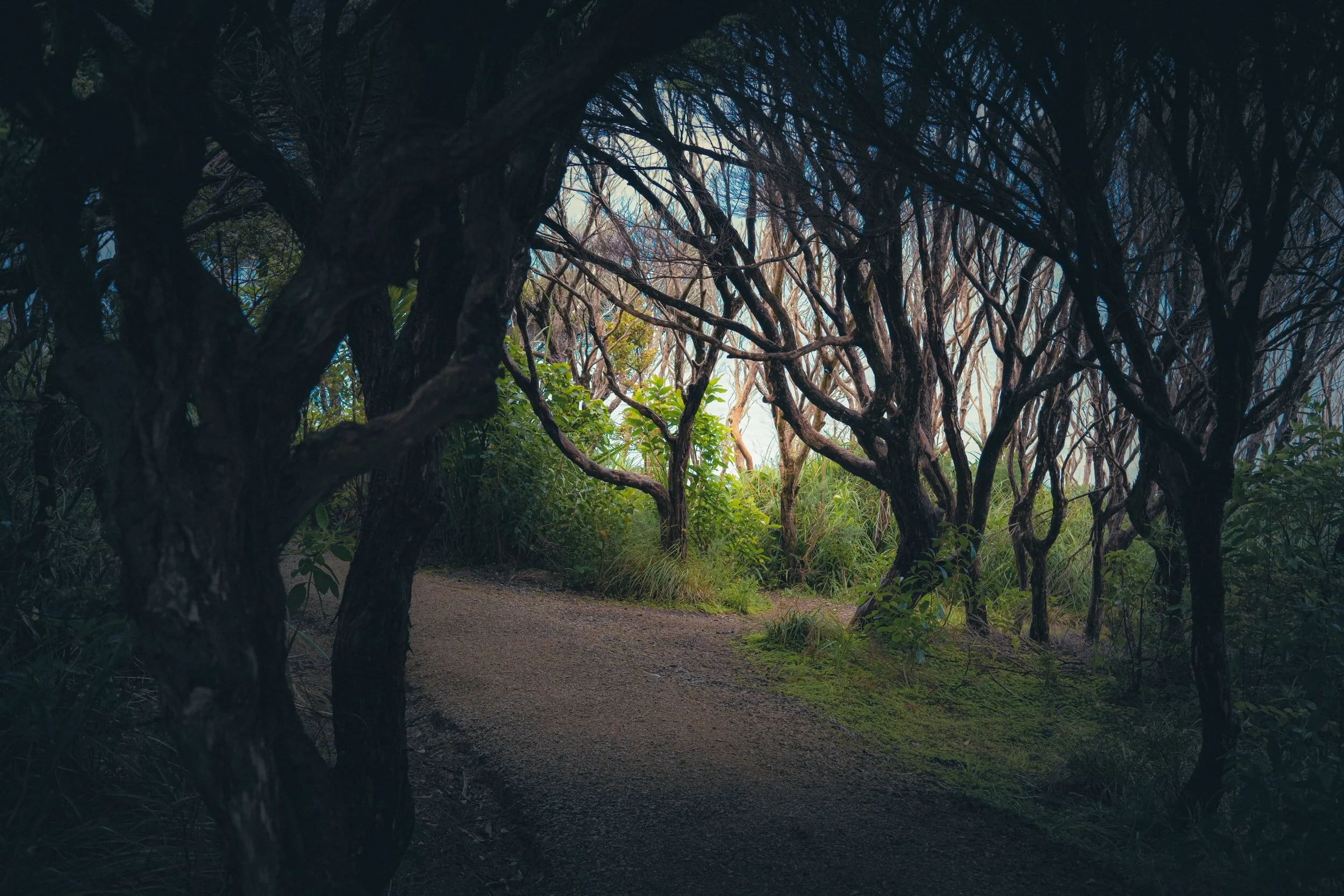 Advent retreat -Inner peace in Divine Love | St Benedict's parish Applecross