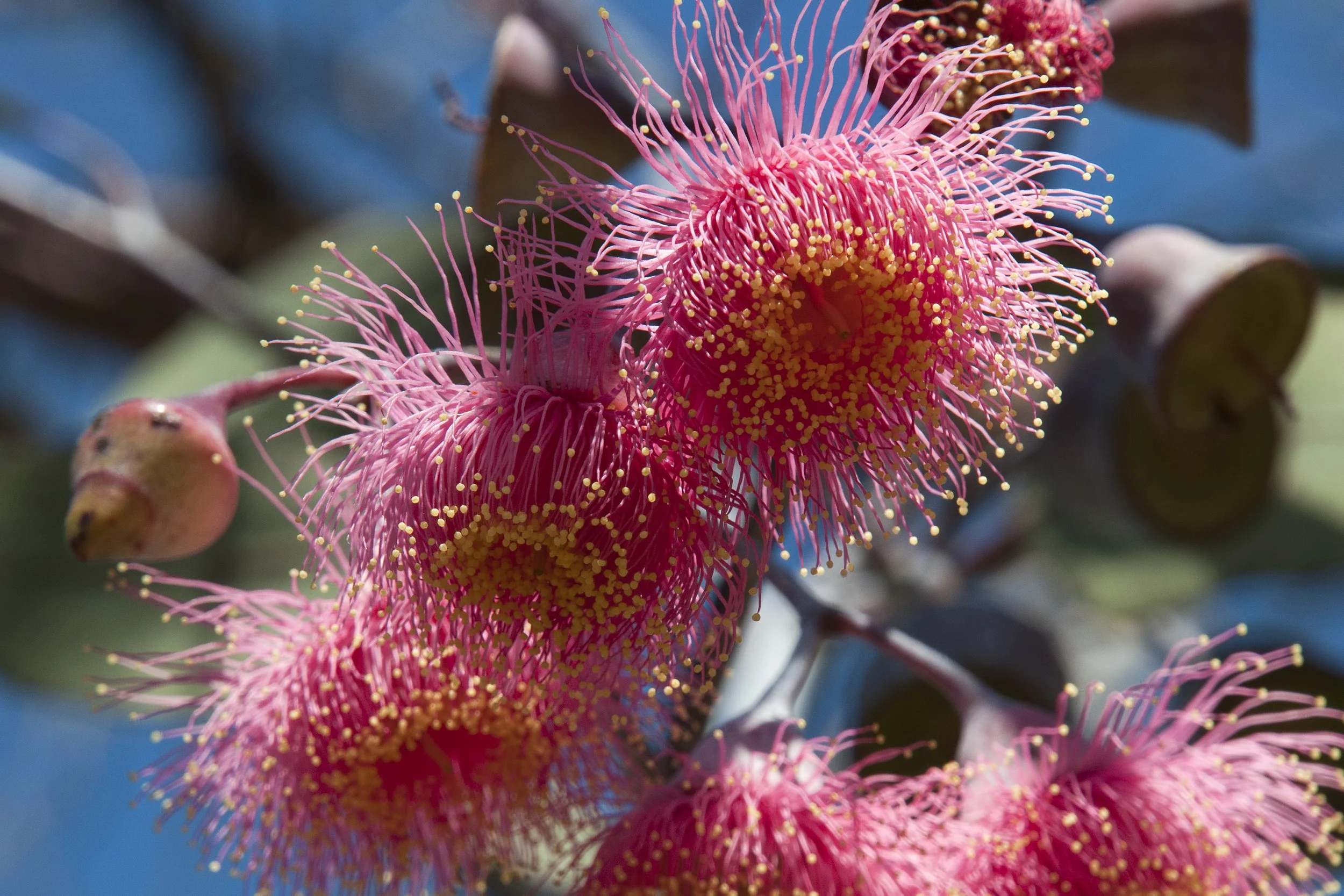 A Reflective Walk | Ignatian Spirituality WA