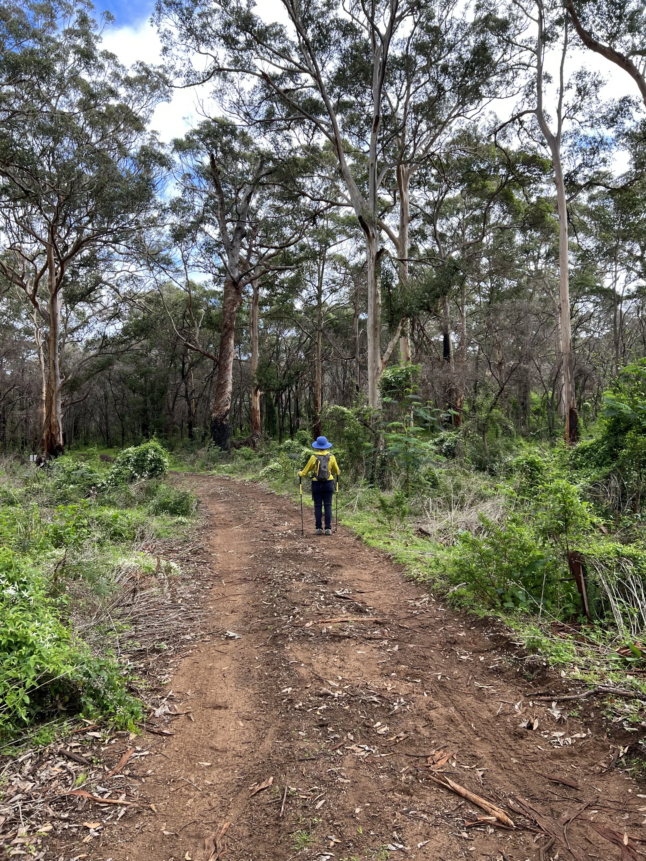 Ignatian Reflection Walks in Nature