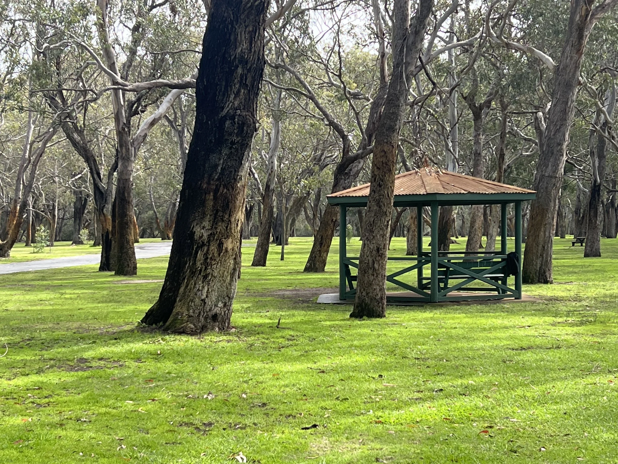 Ignatian Reflection Walk | Season of Creation | Perry Lakes Reserve | Floreat | Sunday October 13th 2024