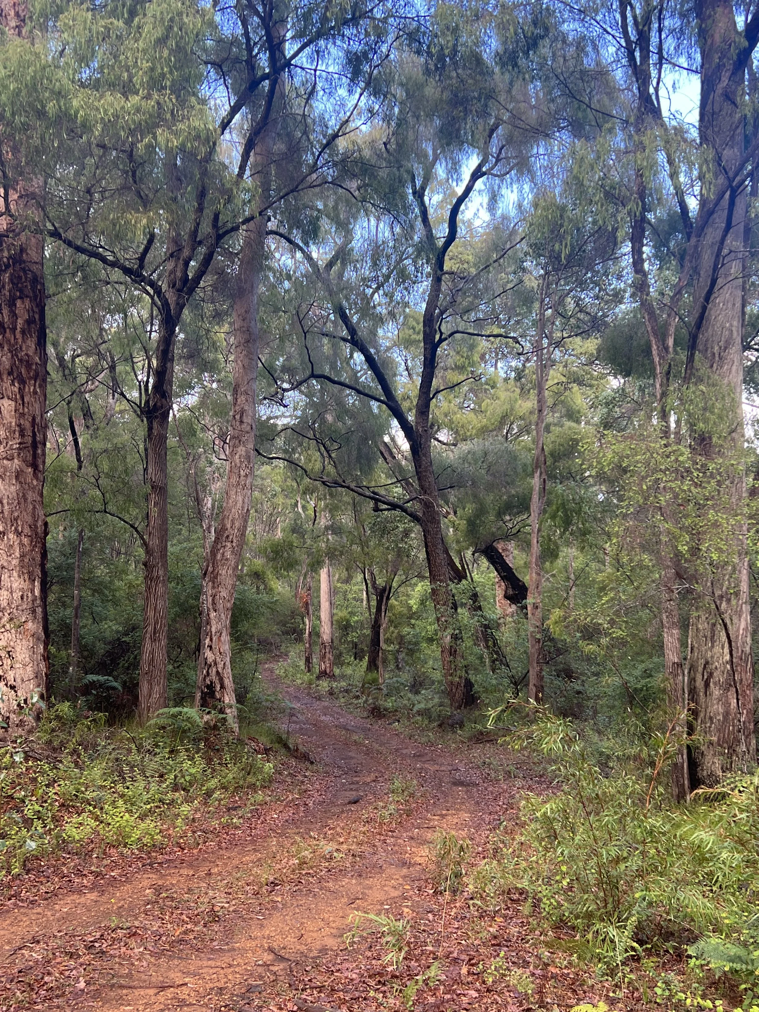 Ignatian Young Adult Retreat 2025 | Nathanaels Rest Retreat Centre | 14th-16th March 2025 | Ramesh Richards SJ