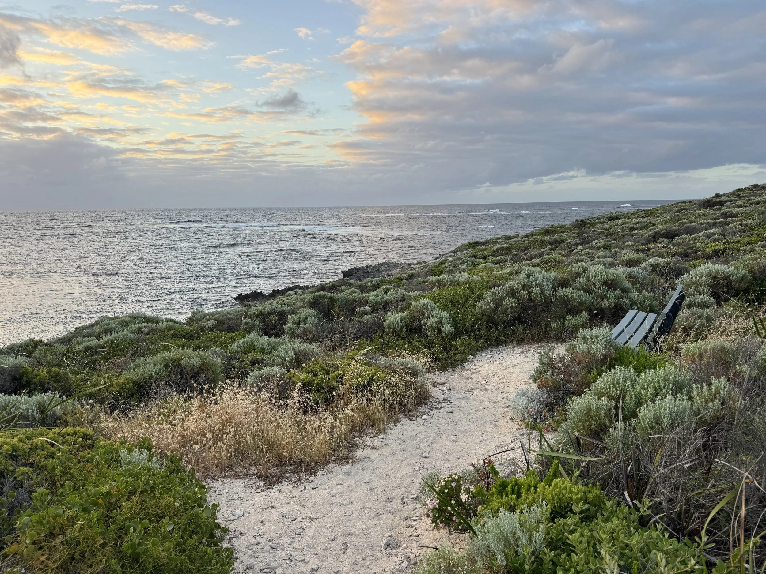 What Am I being Invited to as Church? Discerning Where the Spirit is Calling Me. | St Benedict's Parish Centre Ardross | Saturday 7th March 2026 | 08:45am - 12:30 pm