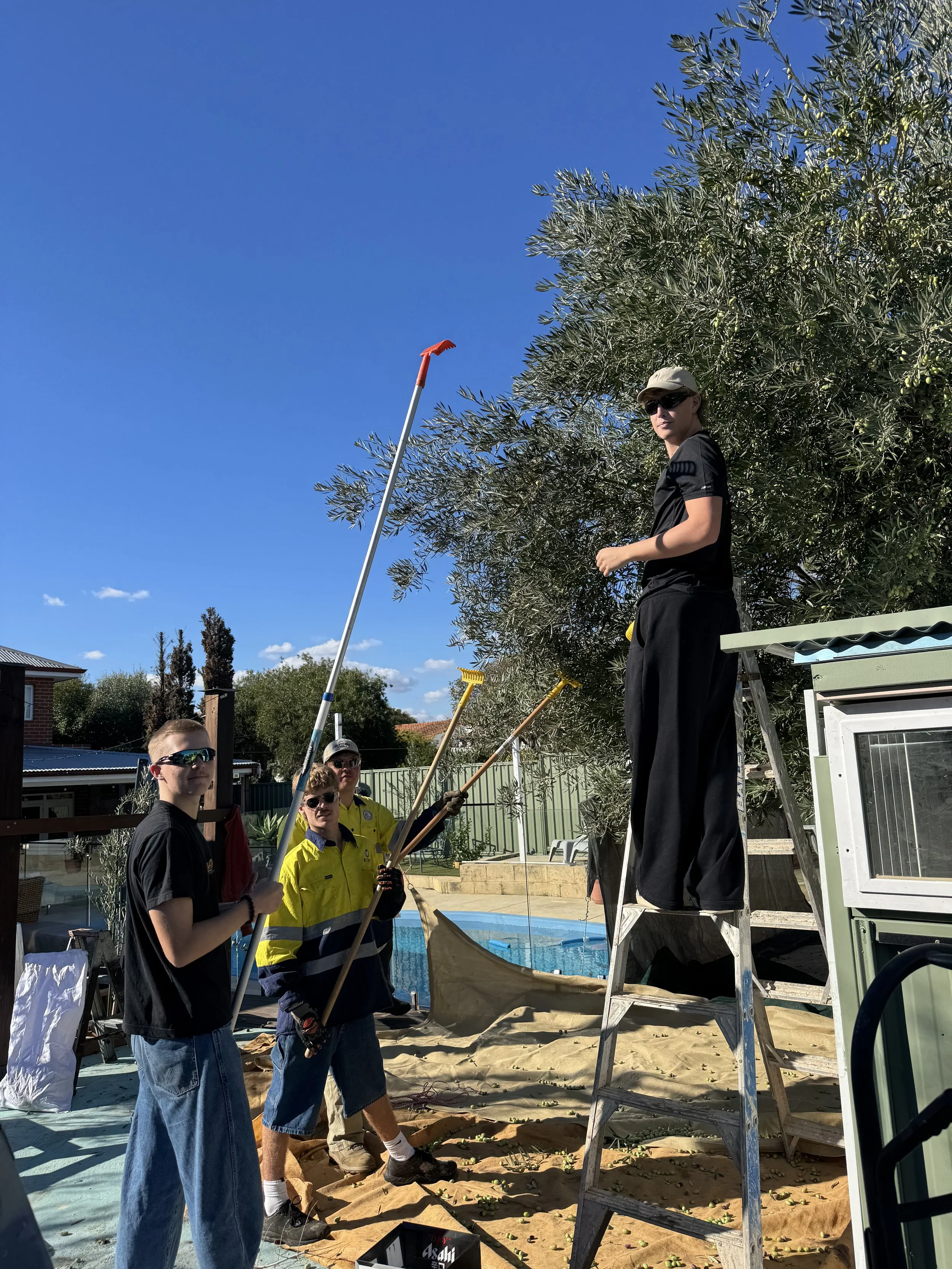 Olive Oil Fundraiser | April 28th-May 4th 2026 | Suburban Trees| Proceeds to Vinnies, ISWA and CLC