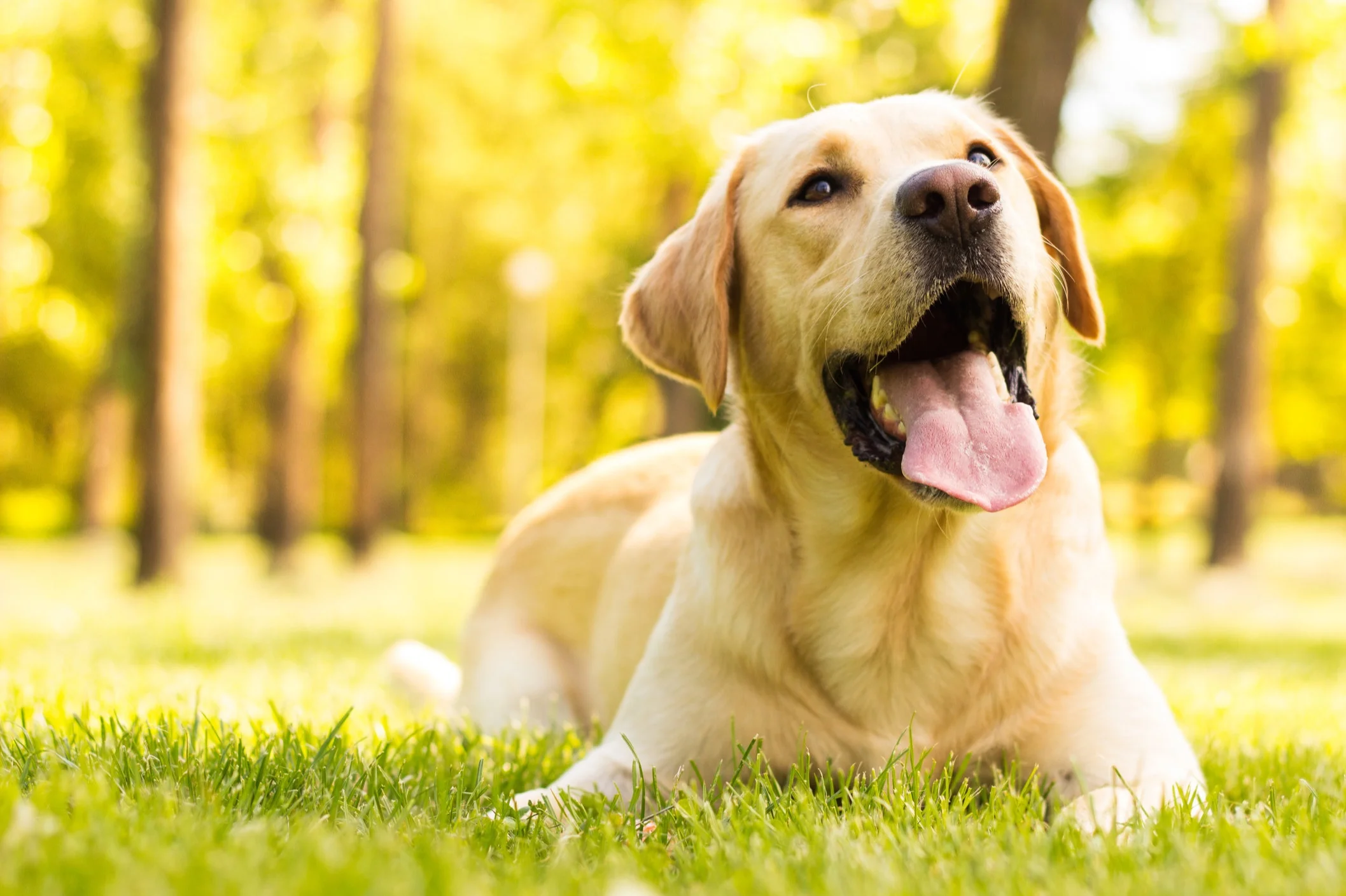 iStock-532872534.jpg