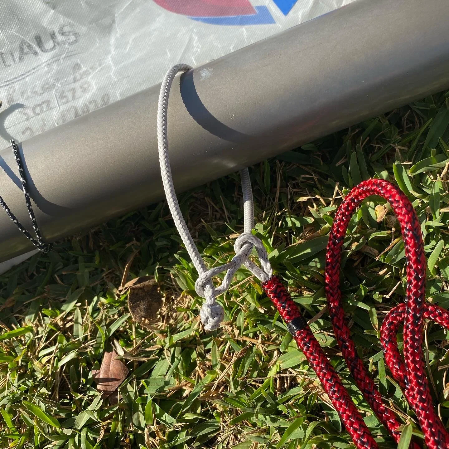 BF5CC7E1-DA63-48CB-BE47-AB6BC23689E5