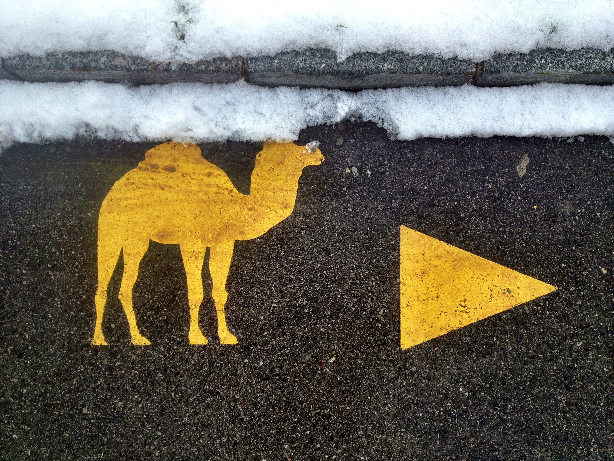 Die Kreativwirtschaft ist tot, lang lebe die Kreativität!