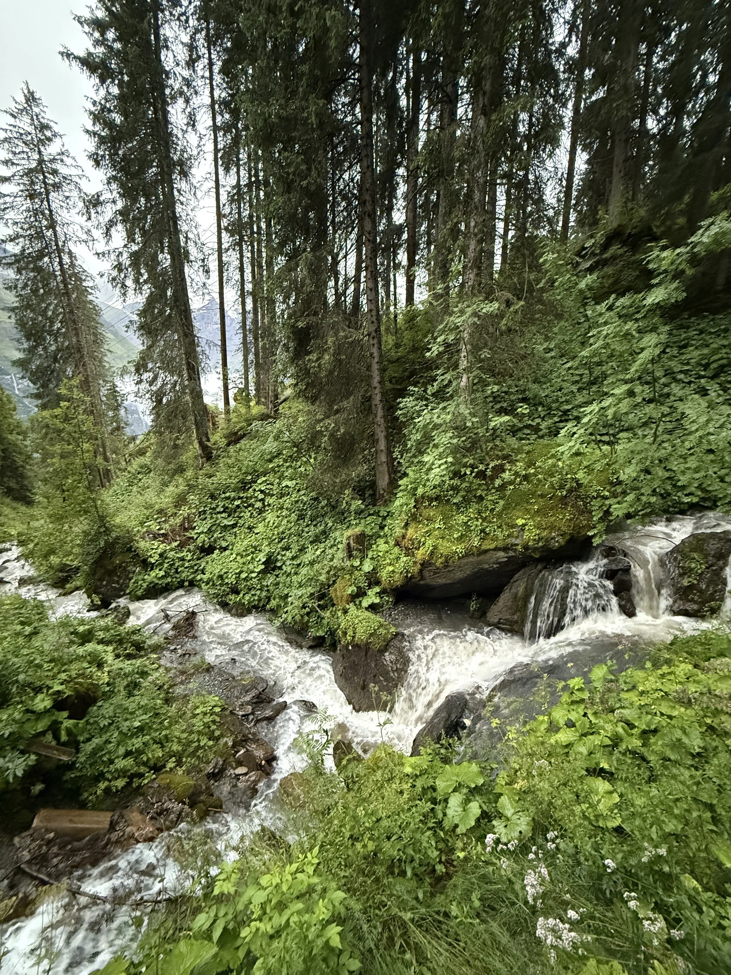 Daten teilen heisst Wasser teilen: über Flüsse, Server und Verantwortung.