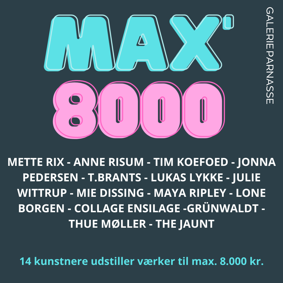 Max8000 1. opslag-3.png