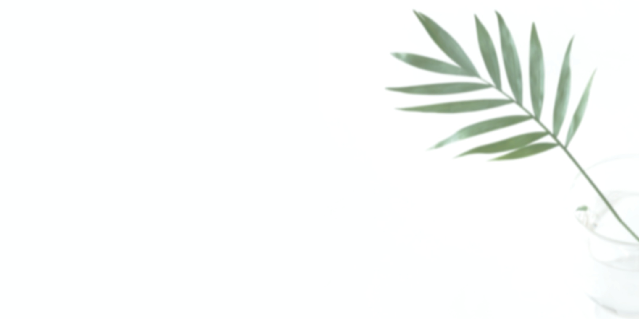 Ananga+site+cover.jpg