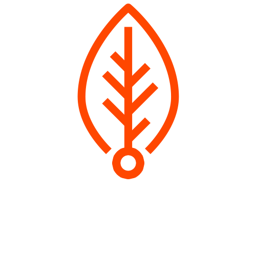 The Fallacy of the Organic