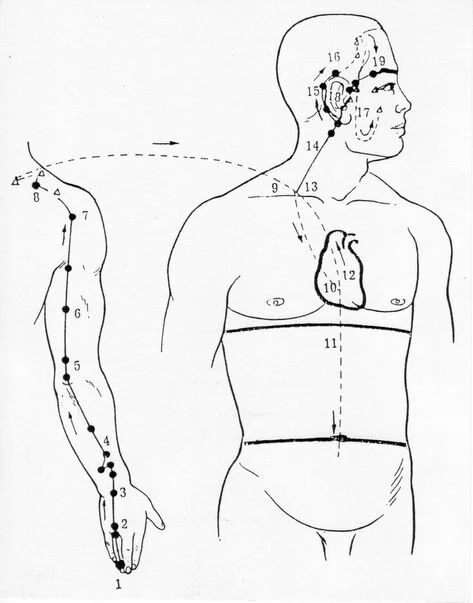 Il Triplice Riscaldatore in Medicina Cinese
