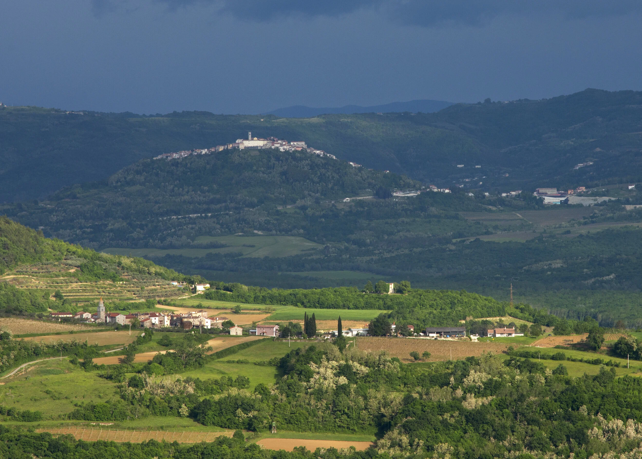Motovun.jpg