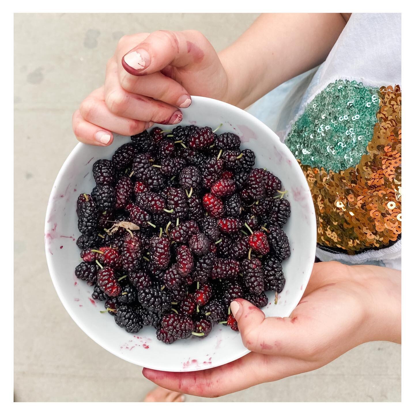 Life, like mulberries...messy but so sweet. Savor the sweetness.