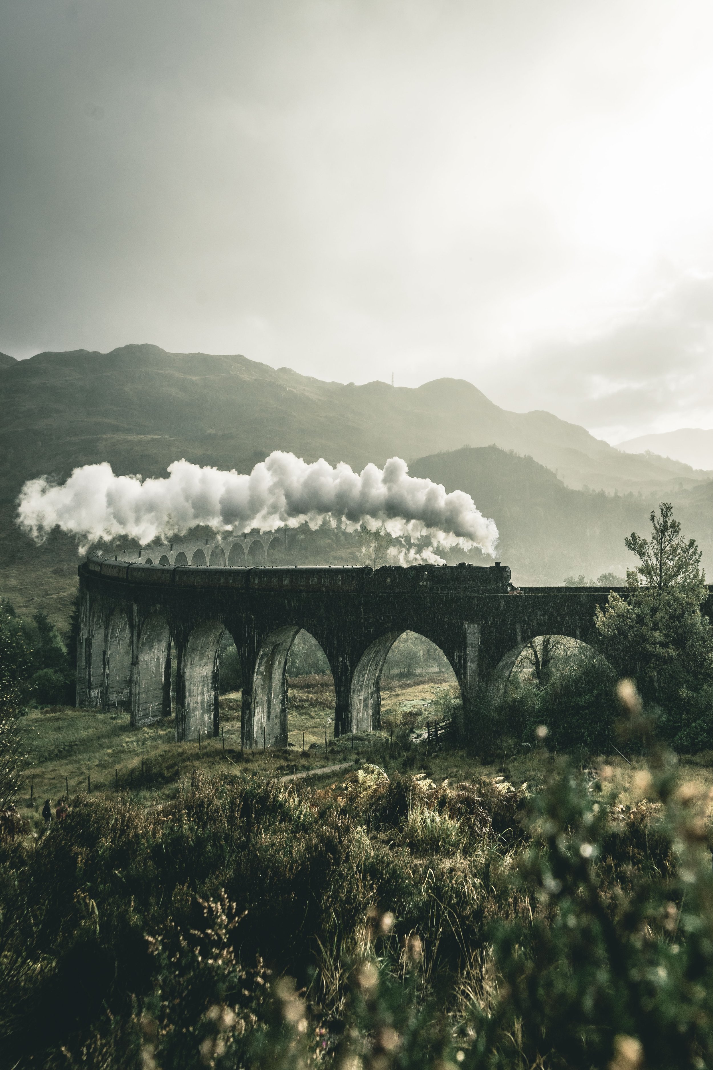 10 of the Most Beautiful Train Journeys in North America