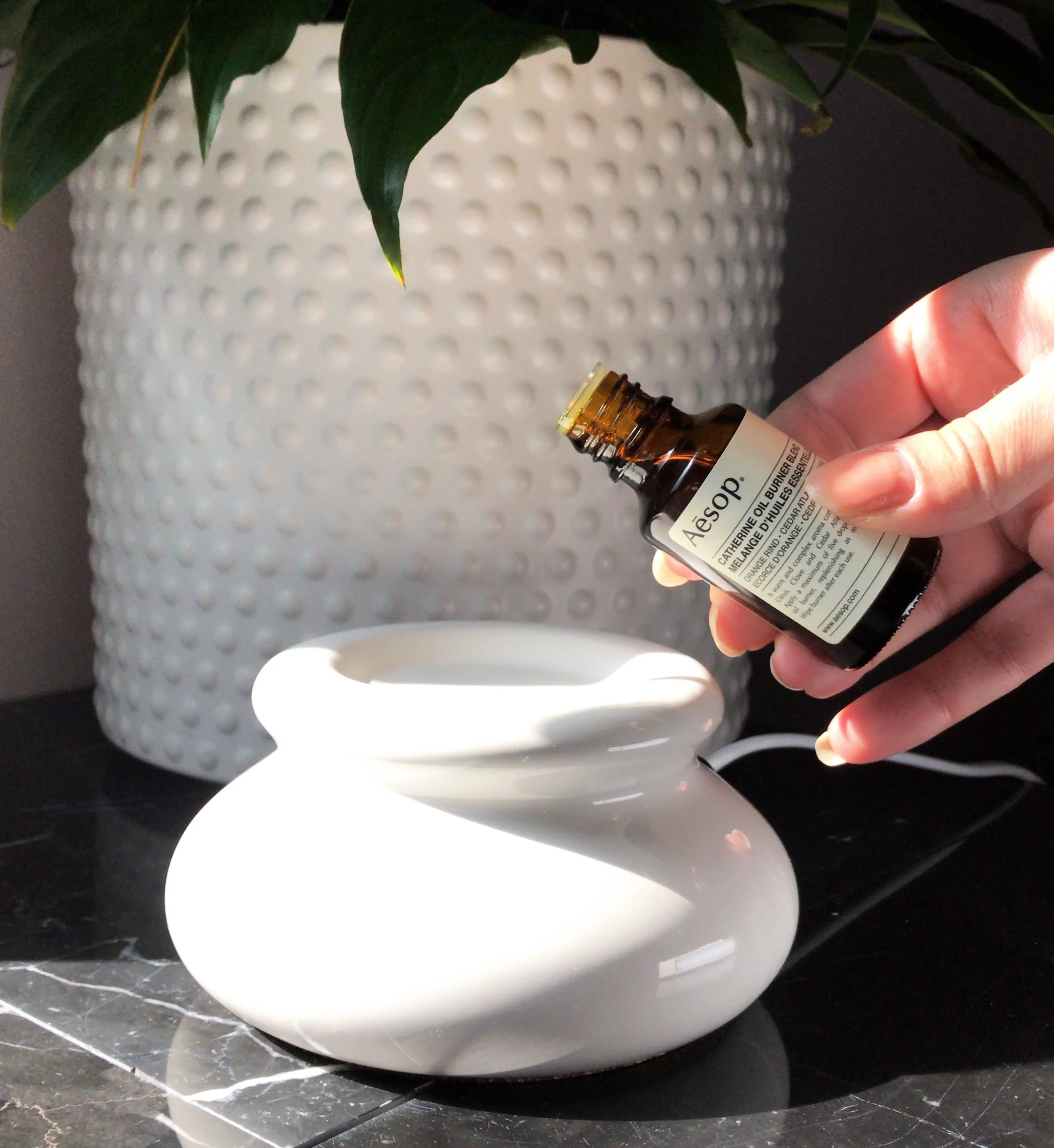 Why Every Home Should Have an Oil Diffuser
