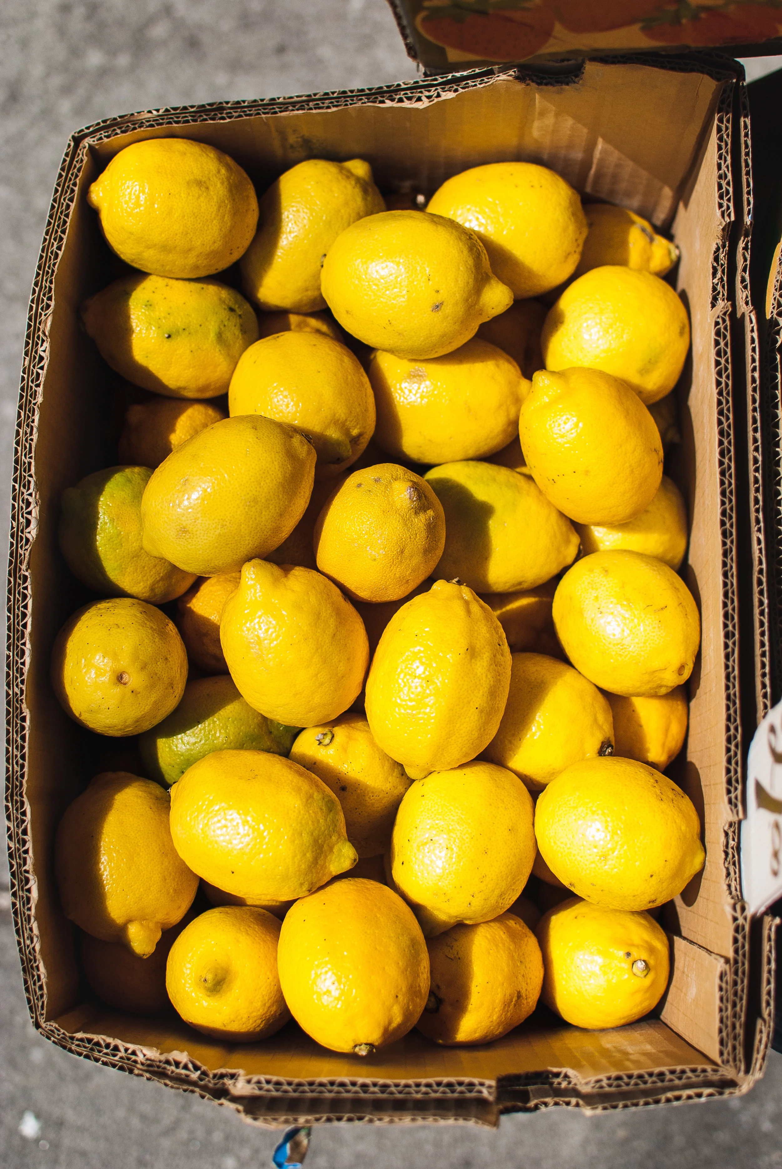 Celebrating Essential oils from Italy