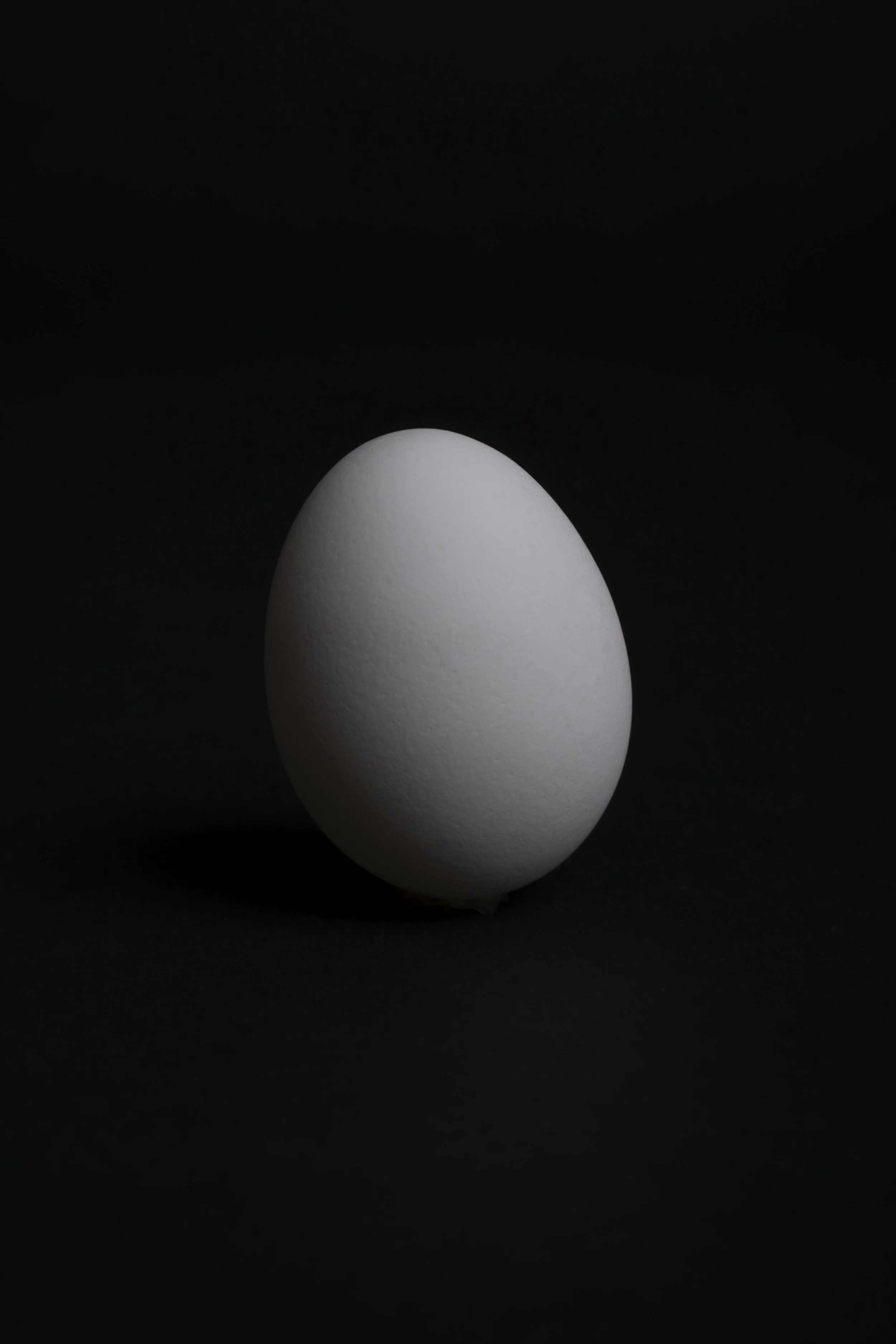 egg black.jpeg