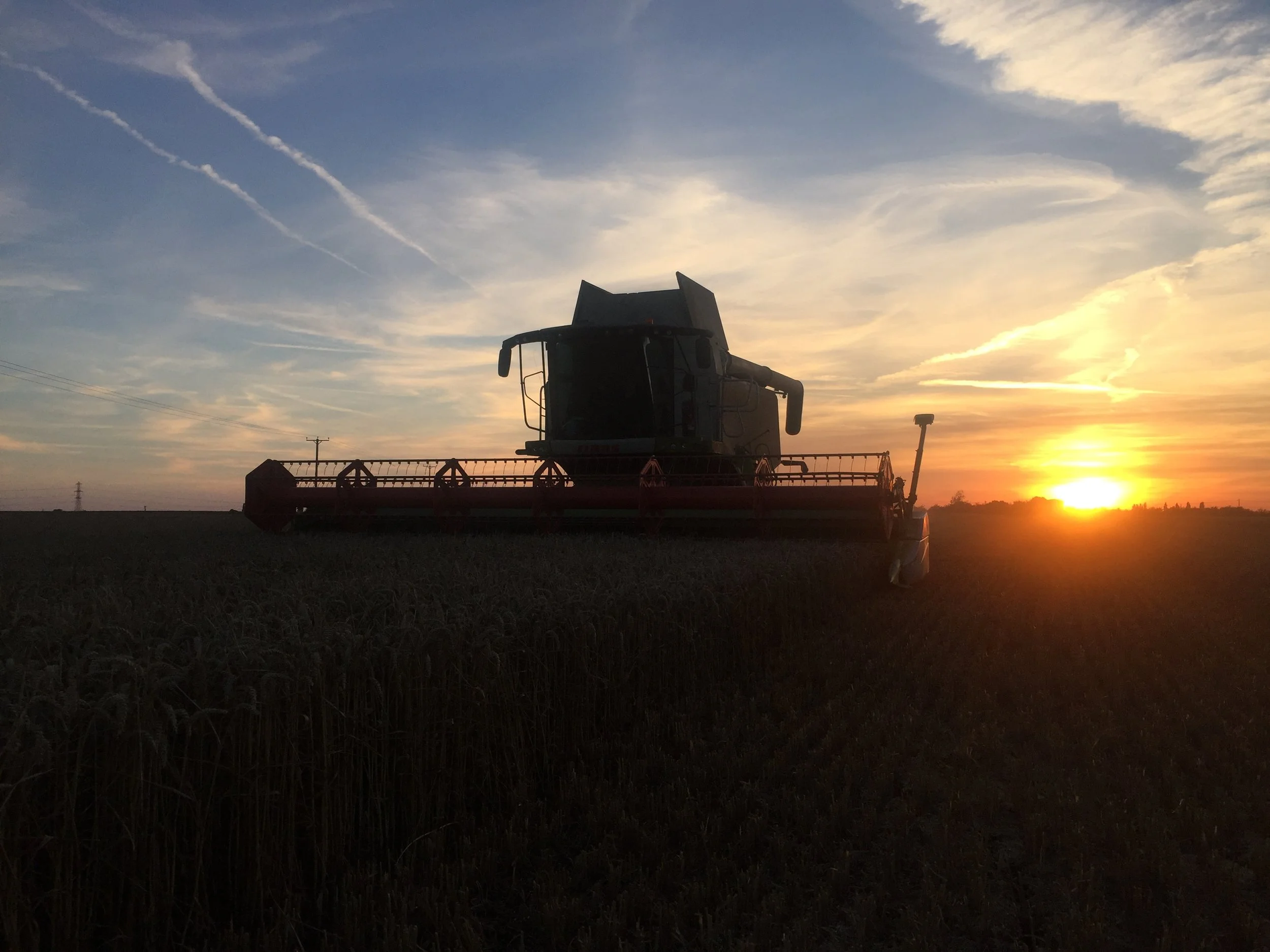 Farm — Hammond Produce