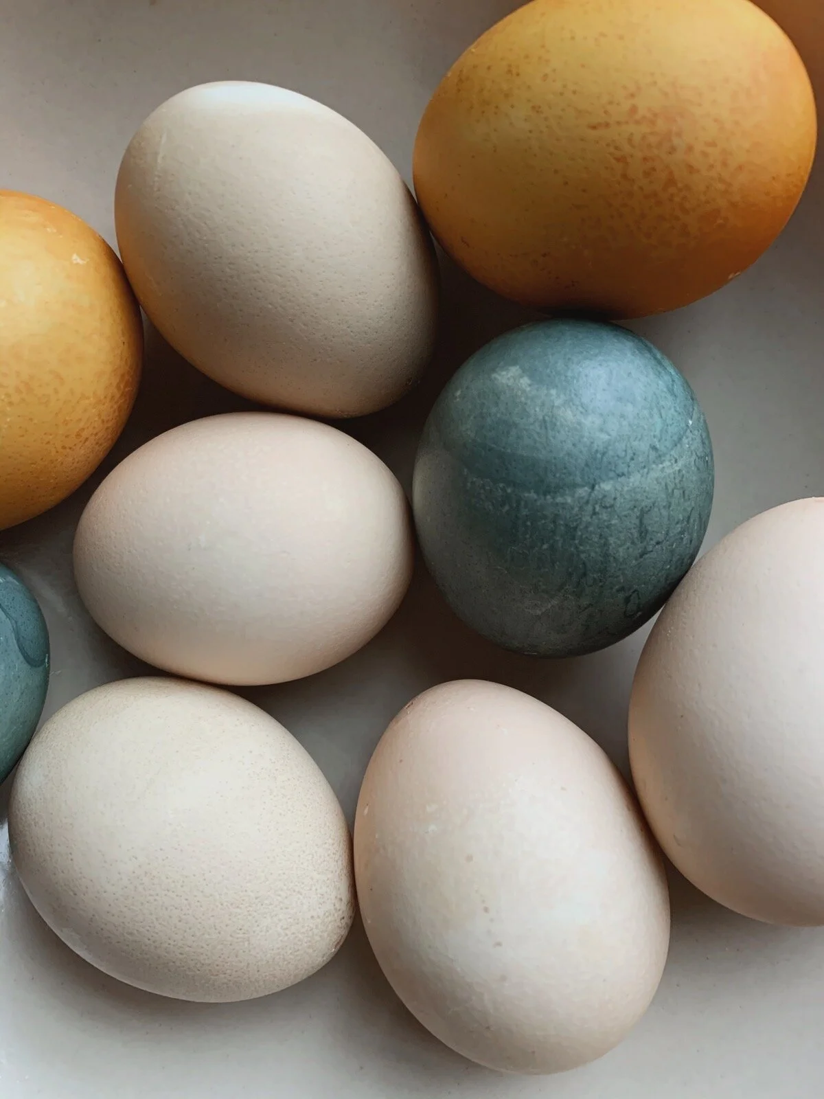 Naturally dyed Easter eggs
